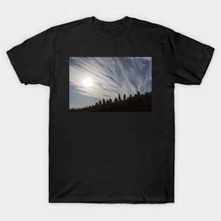 walking downhill T-Shirt